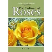 Image of Pot Culture of Roses