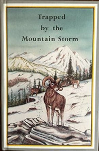 Image of Trapped by the Mountain Storm
